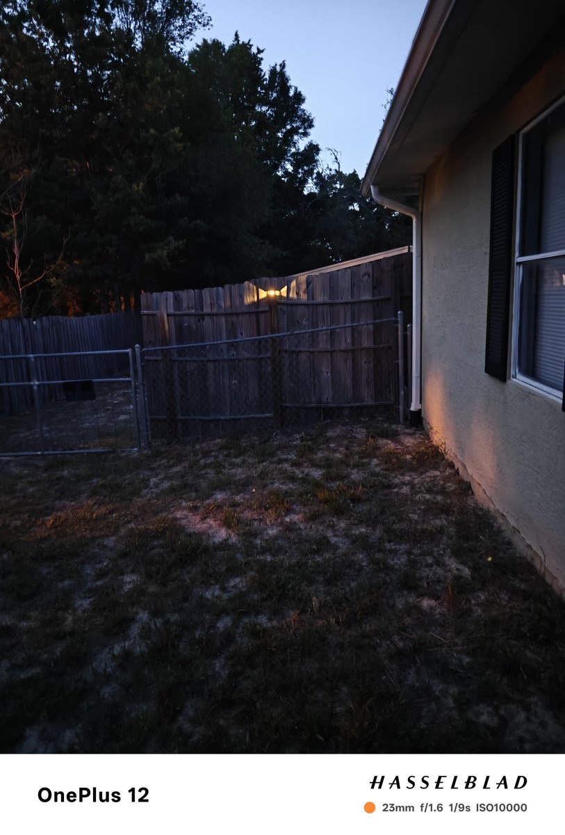 Put out four solar lights on the fence posts 🤣