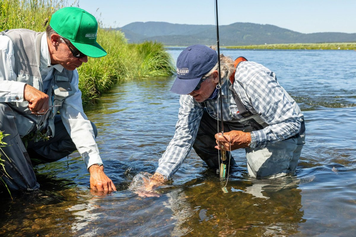 Anglers Academy tweet media