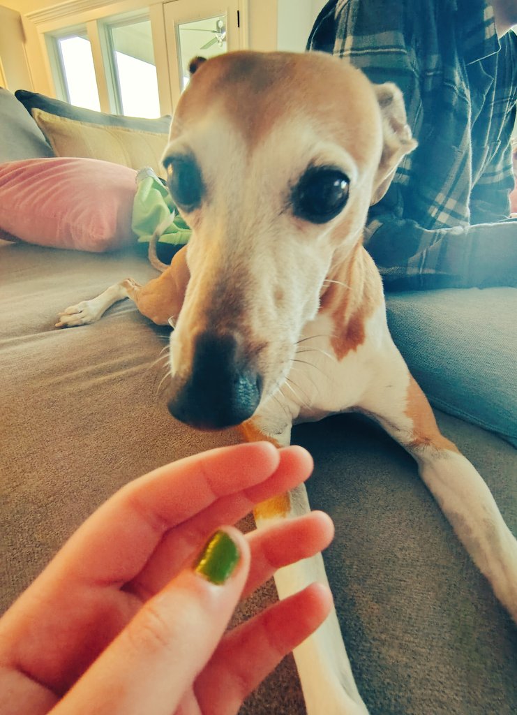 soap 🌈💗🫧🌱🧼 tweet media