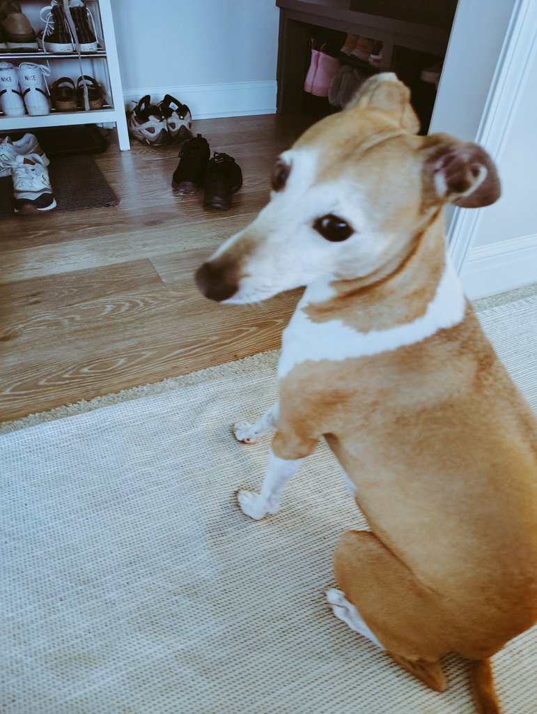 soap 🌈💗🫧🌱🧼 tweet media