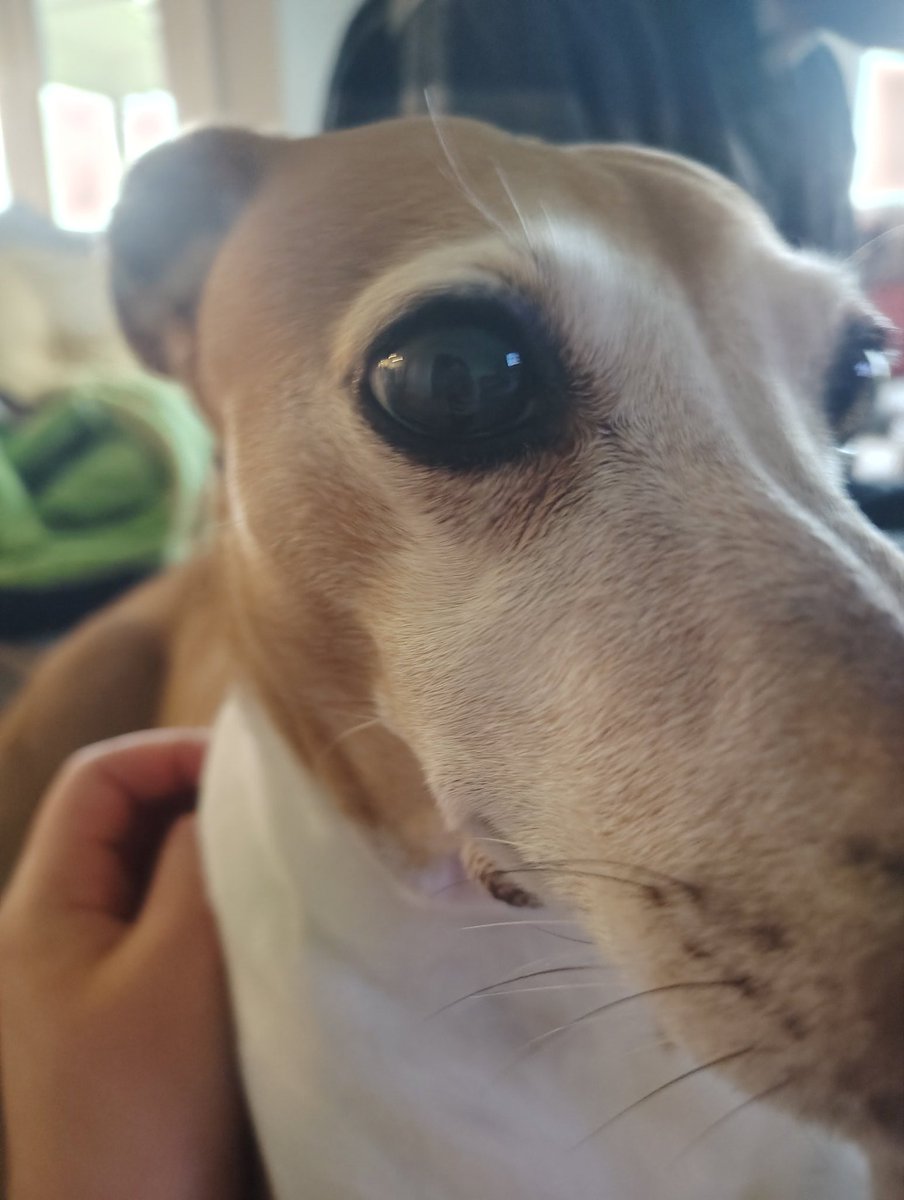 soap 🌈💗🫧🌱🧼 tweet media