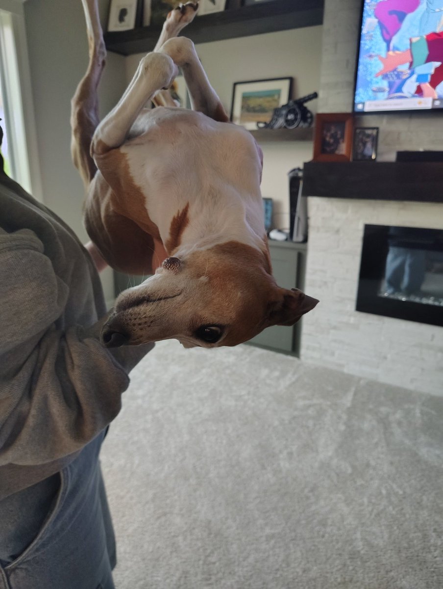 soap 🌈💗🫧🌱🧼 tweet media