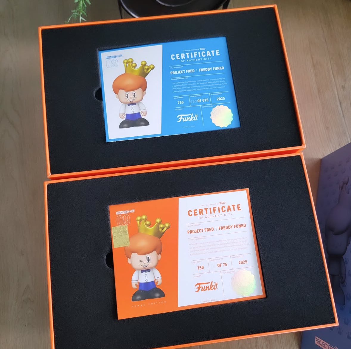 FunkoPOPsNews's tweet photo. In hand with the new Project Fred Freddy Funko! Chase and Common, now arriving ~ good luck! Thanks @myfunkohouse ~ #ProjectFred #FreddyFunko #FPN #FunkoPOPNews #Funko #FunkoPOP https://t.co/x1OYsvP1fW