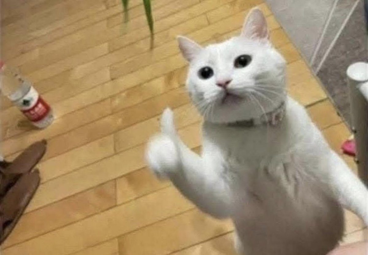 Mi mamá: ya vente tu papá está bien enojado
Mi papá cuando me ve: