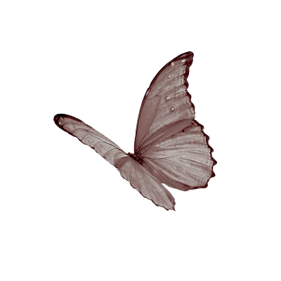 STlLLBEJEWLED's tweet image. 𓍢ִ໋

                                  𝑇 ʳⁱⁿᵏᵉᵗ ,  𝐸 ffᵢₑ