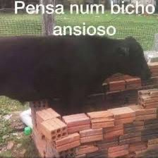 avião acabou de tocar no chão e mal começou a desaceleração e o povo já batendo palma 
calma lá galera q ainda dá pra dar muita merda viu