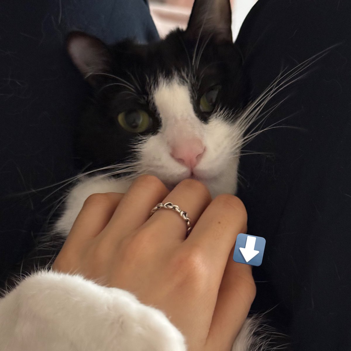 원푸리랑 생일 똑같은애

생일 축하해요
까루 원필