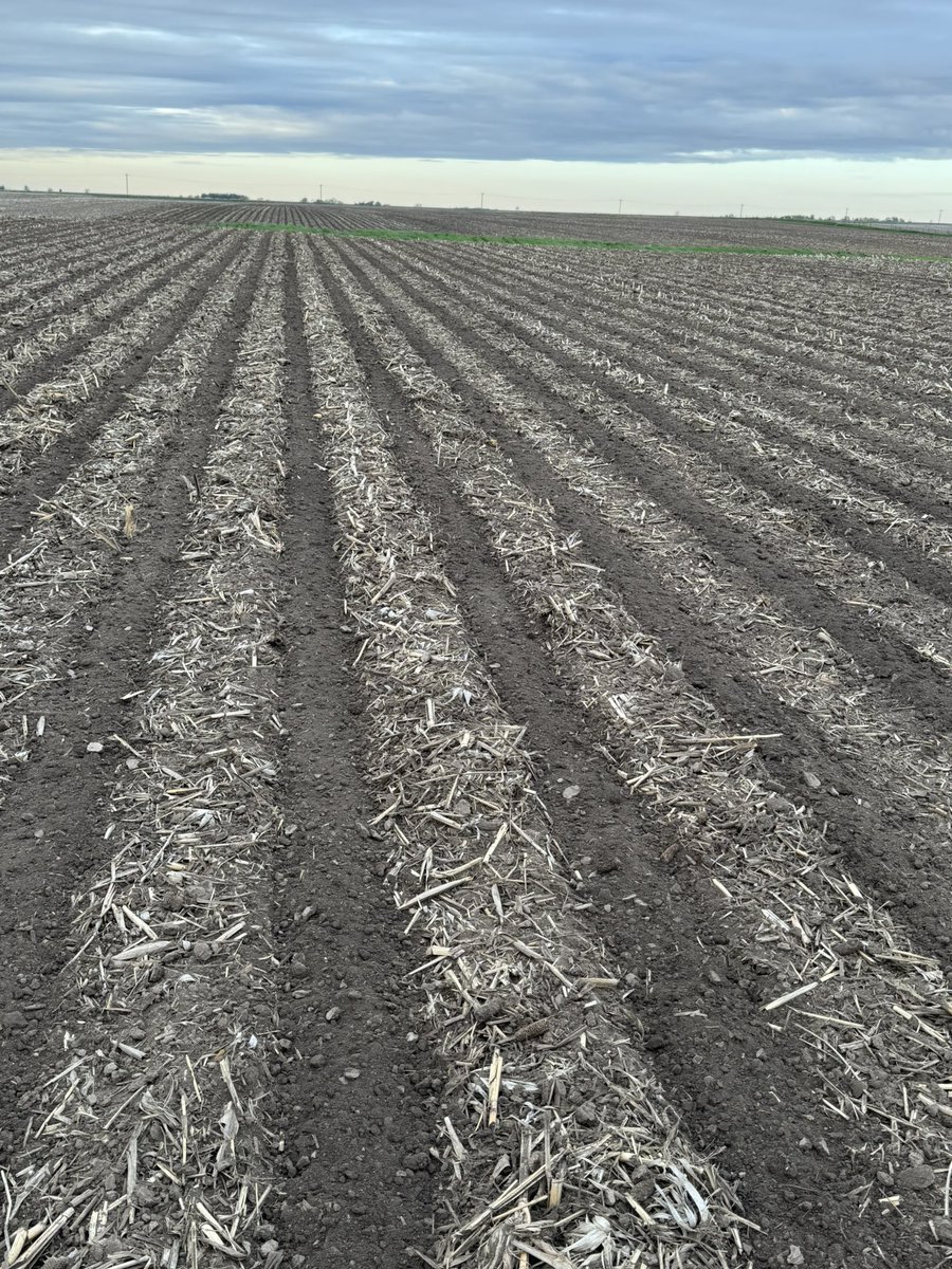 JGreenFarm's tweet photo. You just have to love the transformation… https://t.co/wHUEhEwLwL
