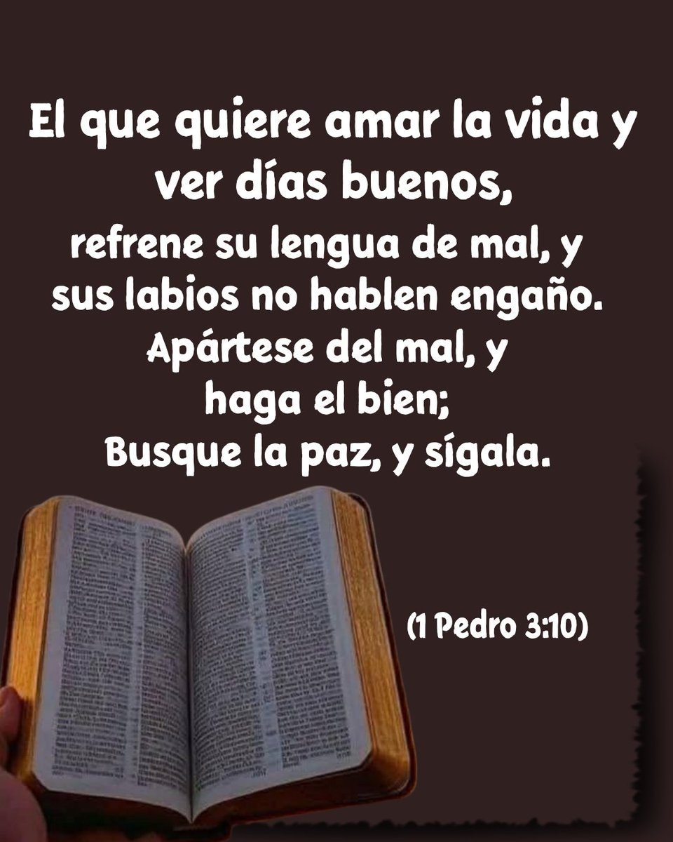 Frases y versos de La Bíblia. tweet media