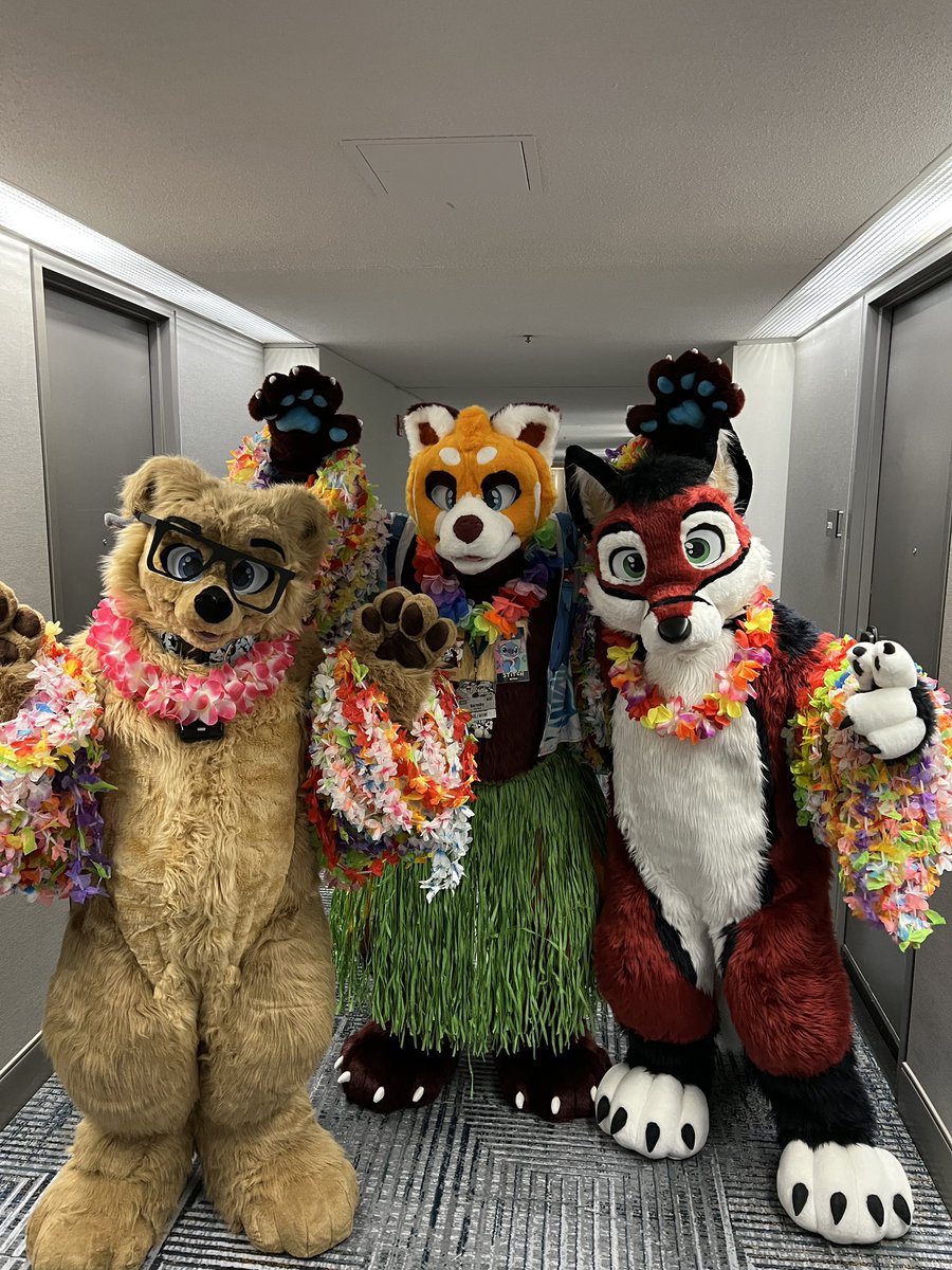 As it turns out, Red Pandas and Grass Skirts just go together! So this is great!