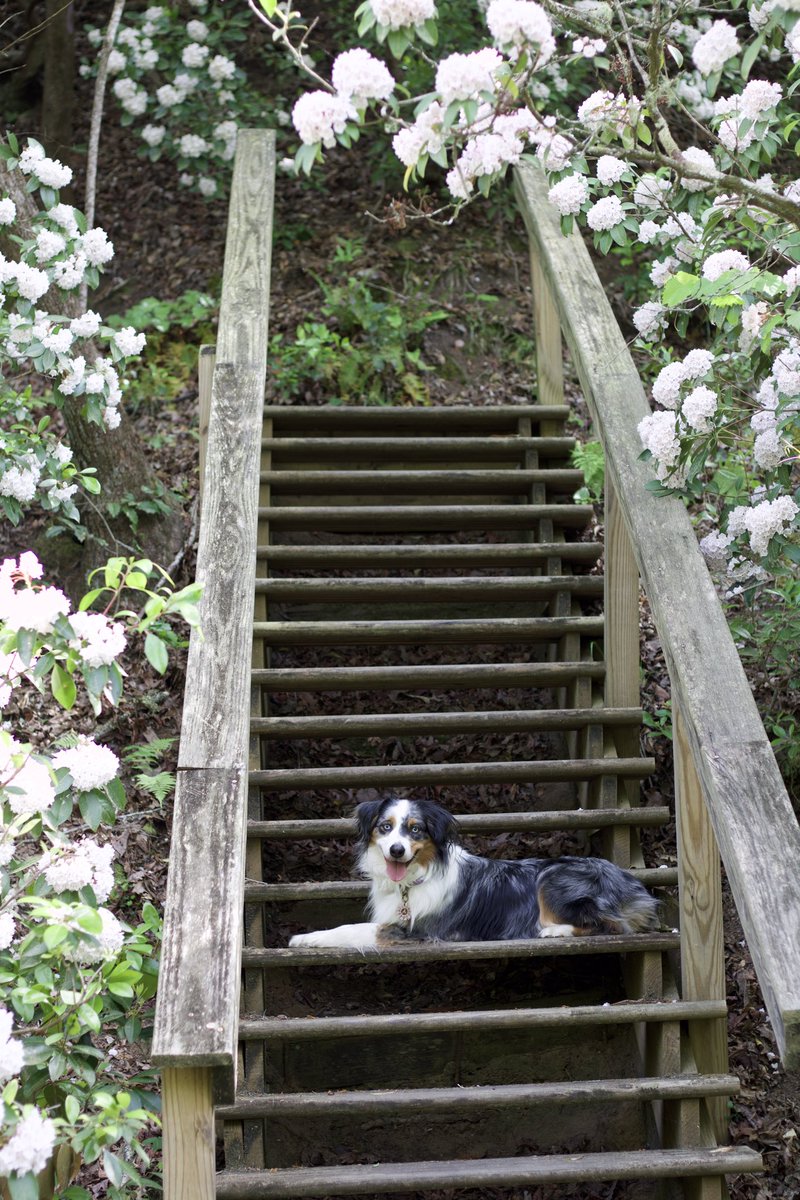 🌹 Posey 🌸 tweet media