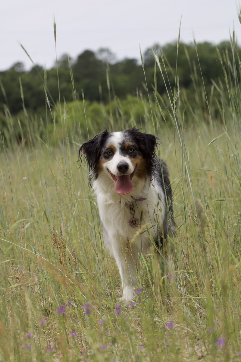 🌹 Posey 🌸 tweet media