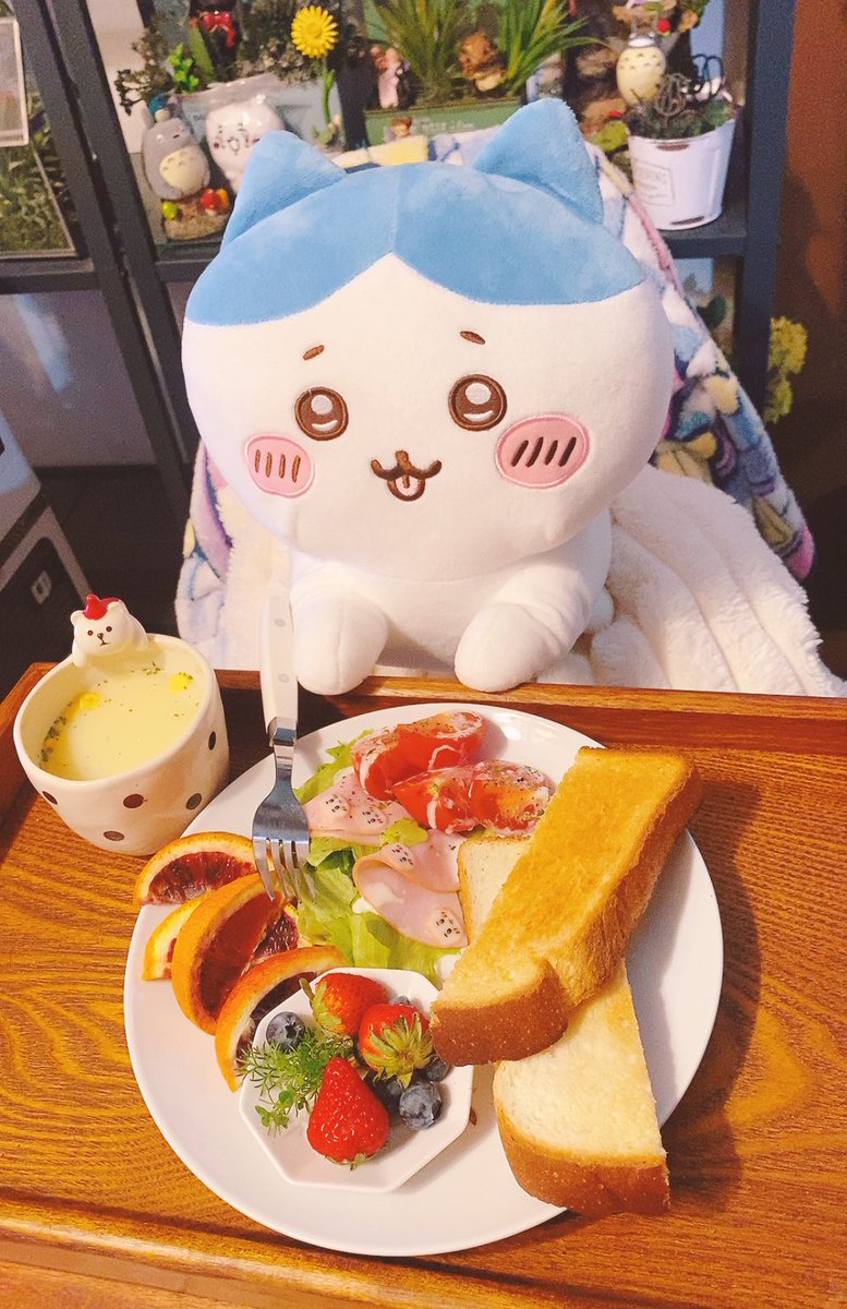 かんちゃ🍊ちいかわ生活 tweet media