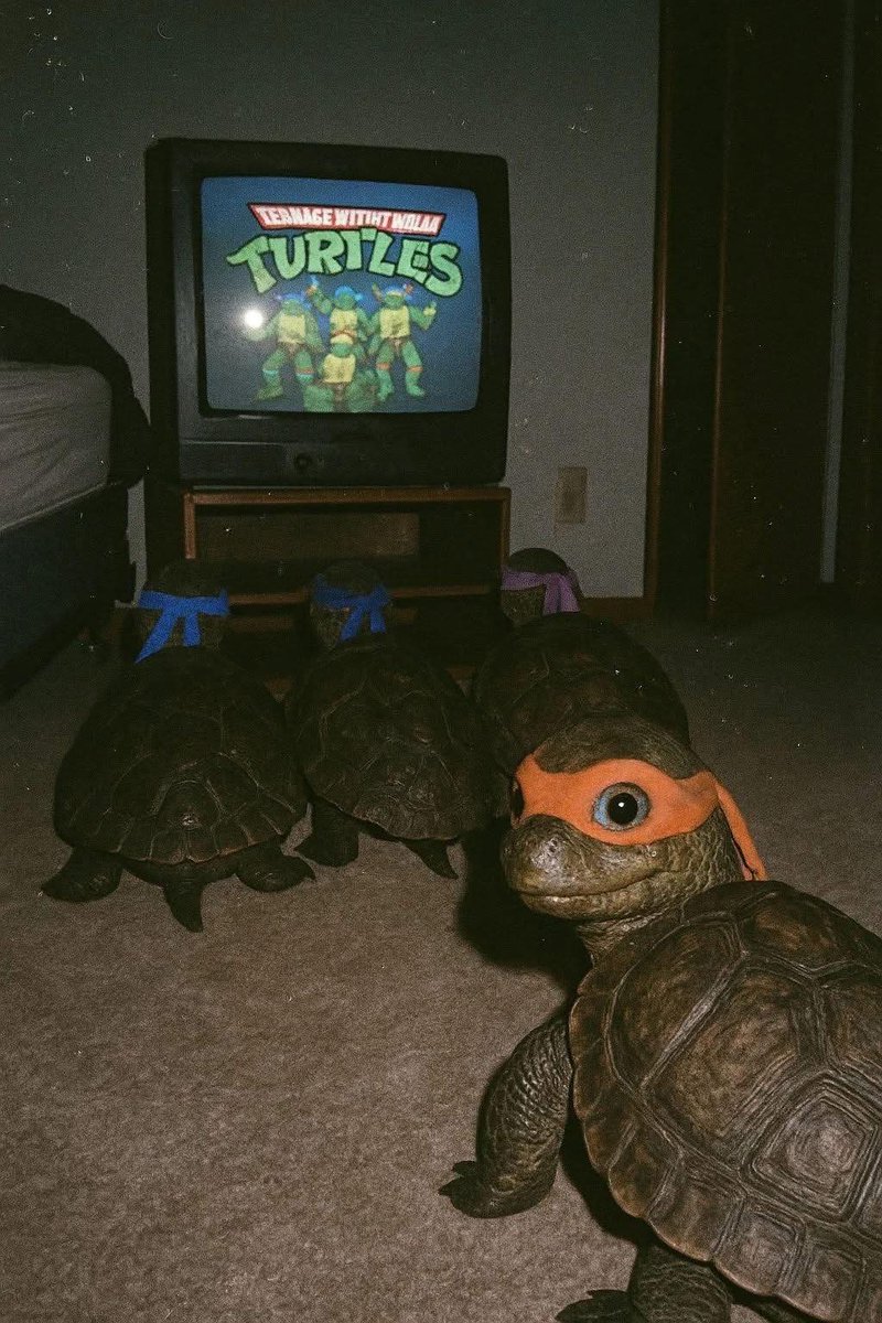 Turtle_Lair (@ninjaturtlelair) on Twitter photo 