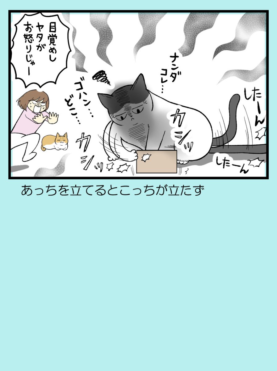 (2/4) 