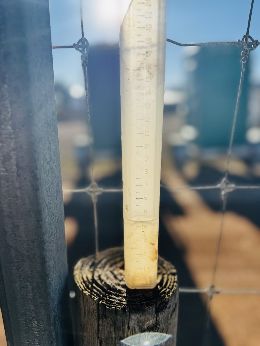 Nice little 4.5mm taken out this morning from the weekend, first amount over 2mm since Feb 😩😩