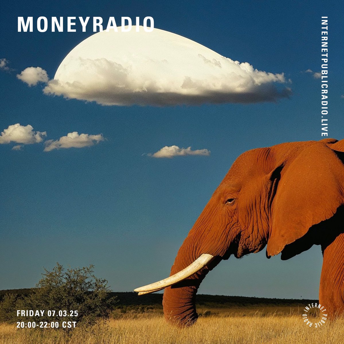 Marcelo García tweet media