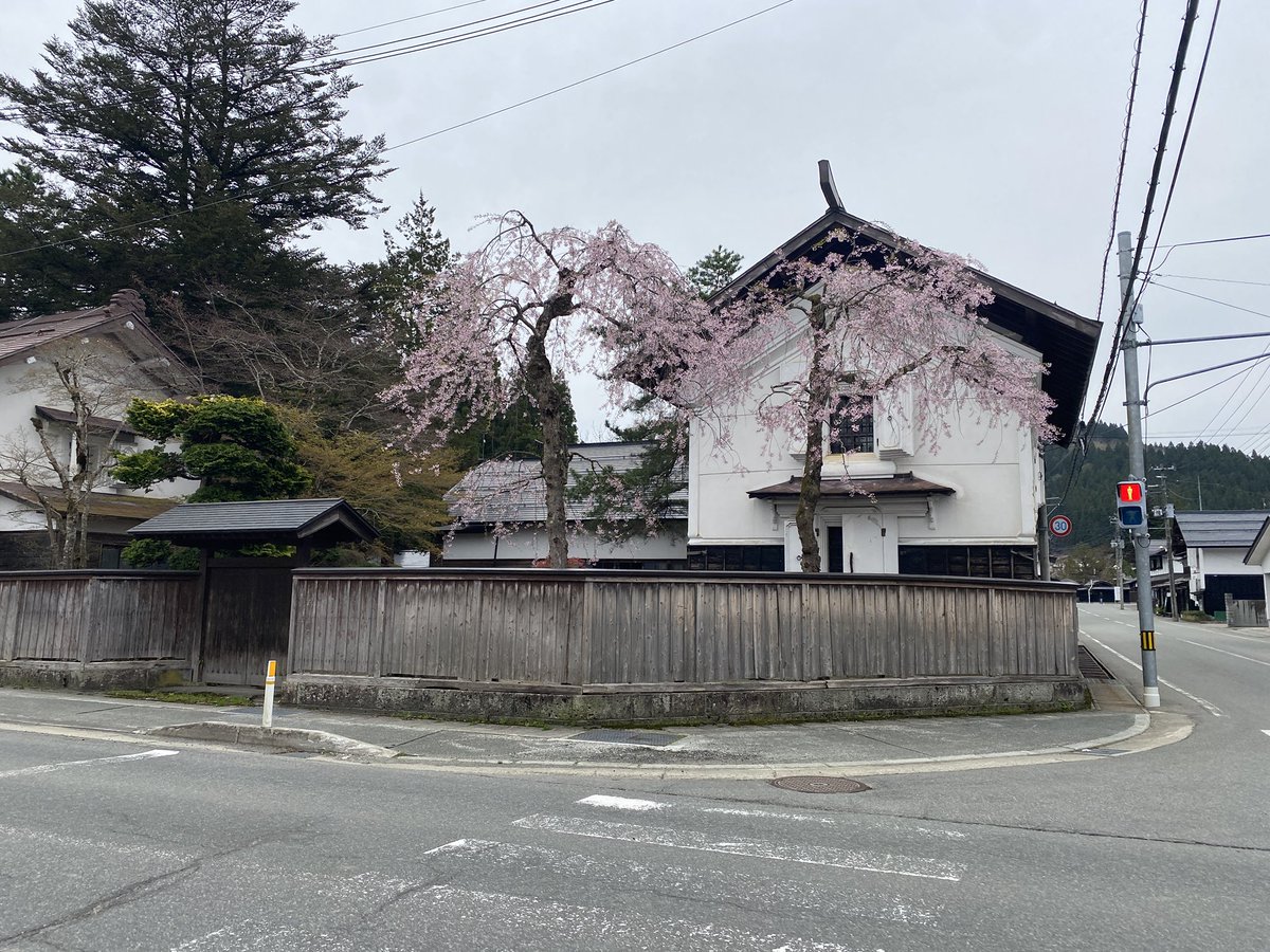 kaneyama100's tweet photo. 4月28日(月)9時45分頃
桜情報

十日町十字路の桜
みごろです🌸 https://t.co/dzM5NAbtan
