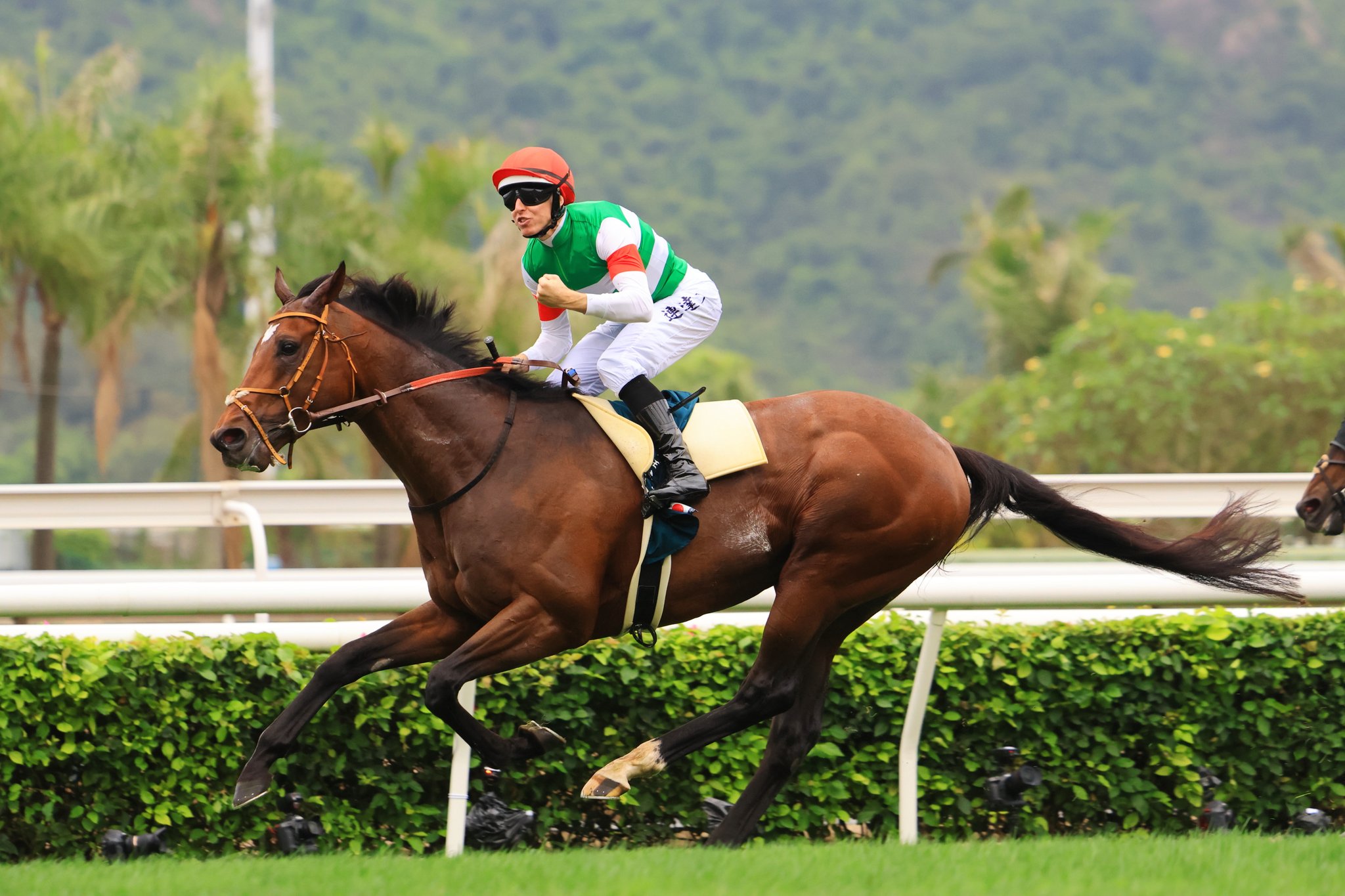 Idol Horse on X: 