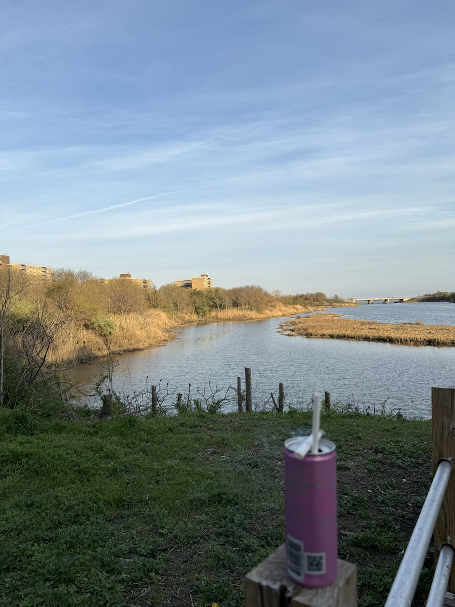 sof4rgone's tweet image. 