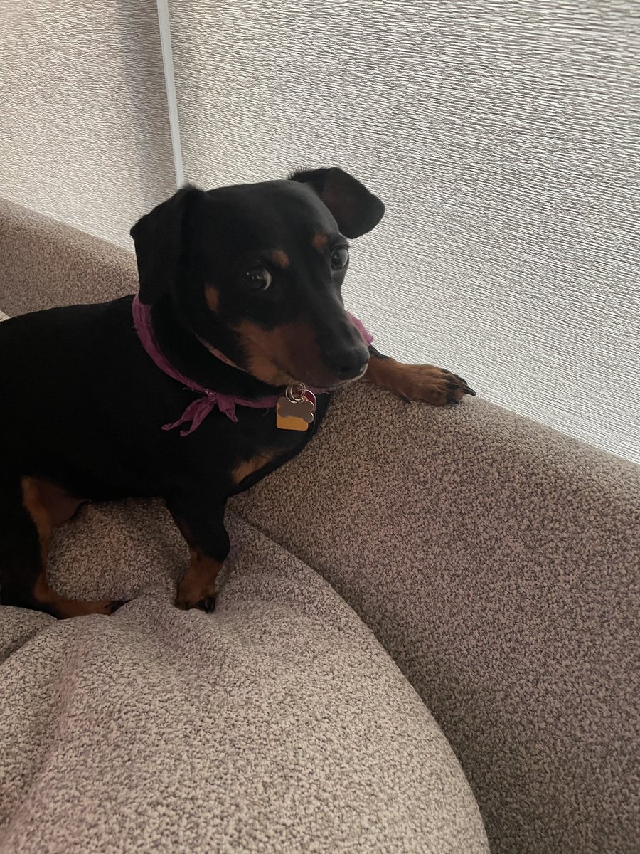 Feel to meme as you see necessary