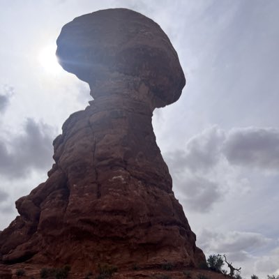 babnu's tweet image. #NewProfilePic