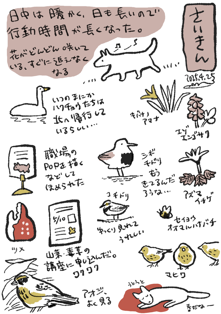 さいきん 