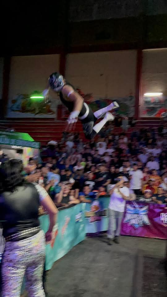 LaTijeraLucha's tweet image. Arranca las acciones en la función del día del niño de #ArenaNeza, con triunfo de la pareja de #AlanRockedy y #PrincipeAslan al dar cuenta de #Paradigma y #DragonSupremo,este último sale con un ligero impacto después de un lance;siendo premiados con dinero...