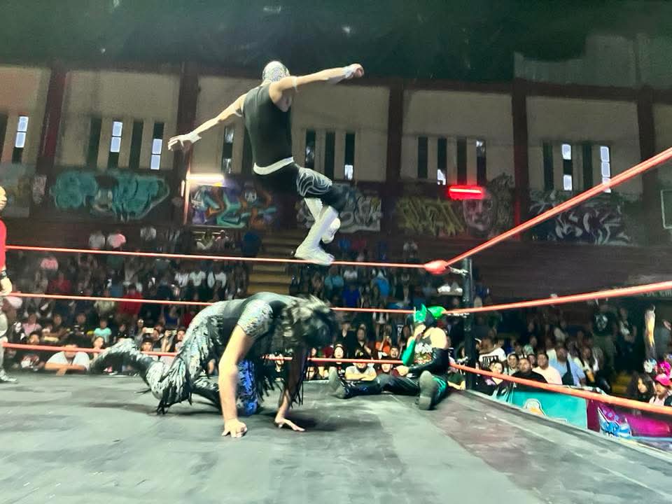 LaTijeraLucha's tweet image. Arranca las acciones en la función del día del niño de #ArenaNeza, con triunfo de la pareja de #AlanRockedy y #PrincipeAslan al dar cuenta de #Paradigma y #DragonSupremo,este último sale con un ligero impacto después de un lance;siendo premiados con dinero...