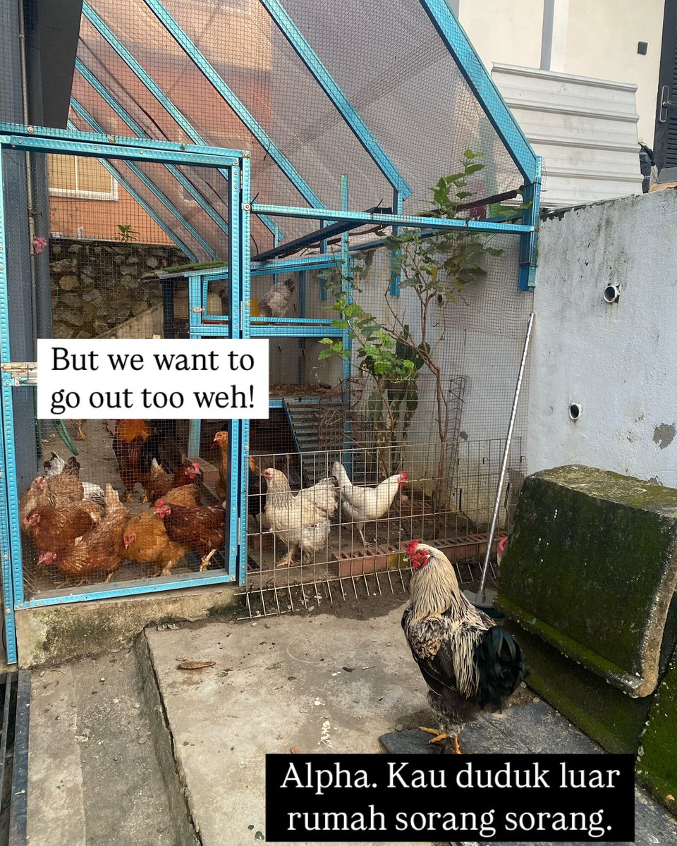 Sapa nak kene sembelih next?