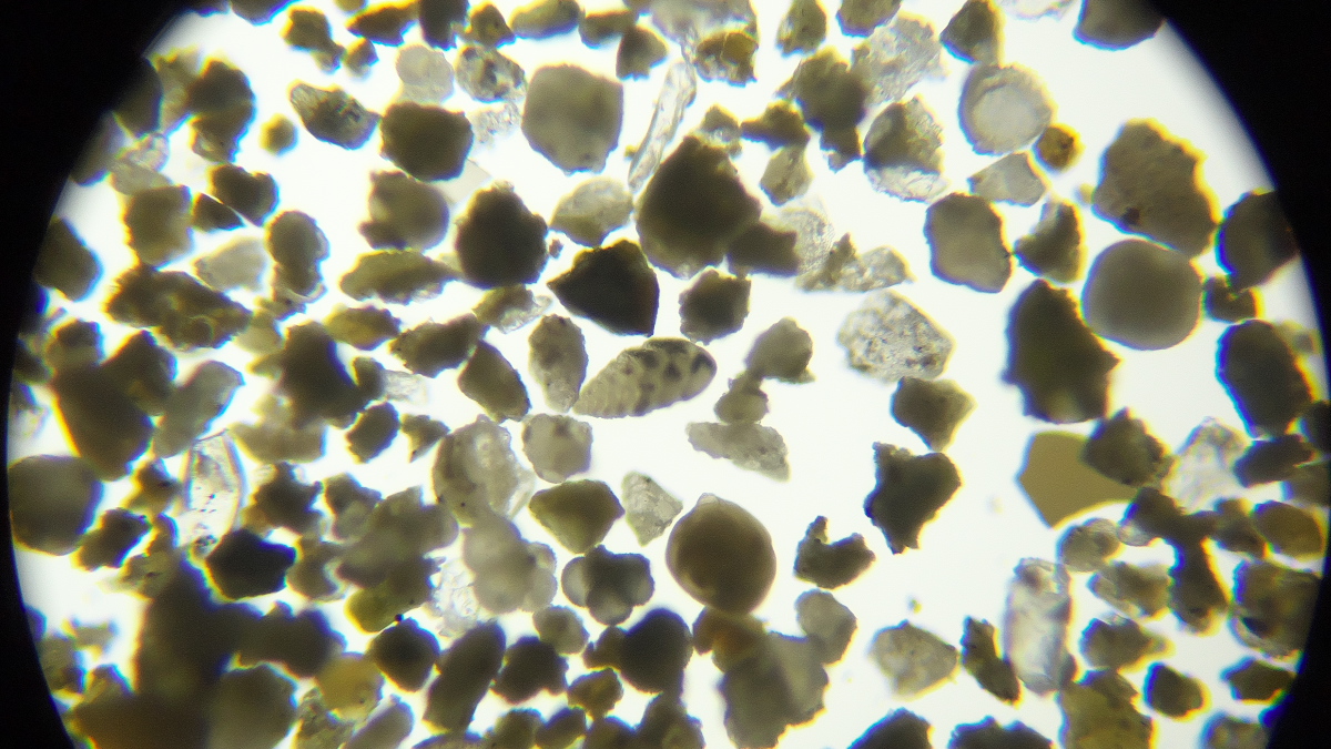 microscope61's tweet photo. 練馬区のRC GEAR で4月27日に行われた放散虫の顕微鏡観察ワークショップに行ってきました。千葉の天津層(1枚目)や佐渡ヶ島の海岸の砂のサンプル(2枚目・有孔虫)でプレパラートを作ったり、ミクロワールドサービスの高価なバルバドス産放散虫プレパラート(3枚目)を観察しました。#放散虫 #RCGEAR https://t.co/JNVKAkGlVE