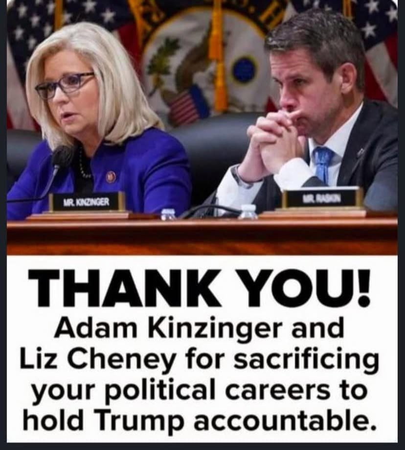 DisavowTrump20's tweet image. RETWEET to thank Liz Cheney and Adam Kinzinger for putting country over party!