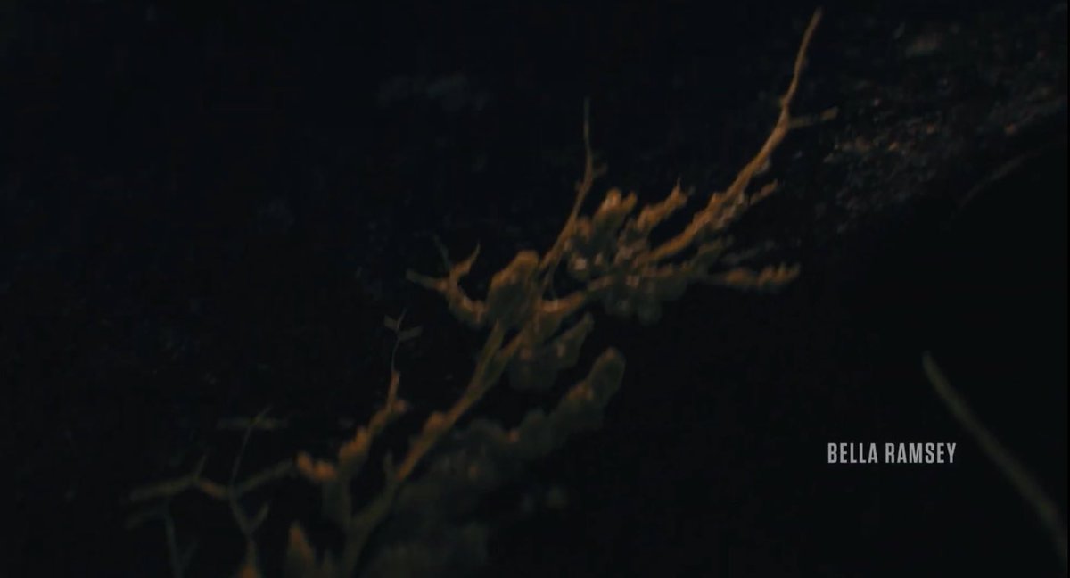 pascalcoded's tweet photo. seeing the intro without pedro’s name felt like getting slapped btw https://t.co/leXjo9K35L