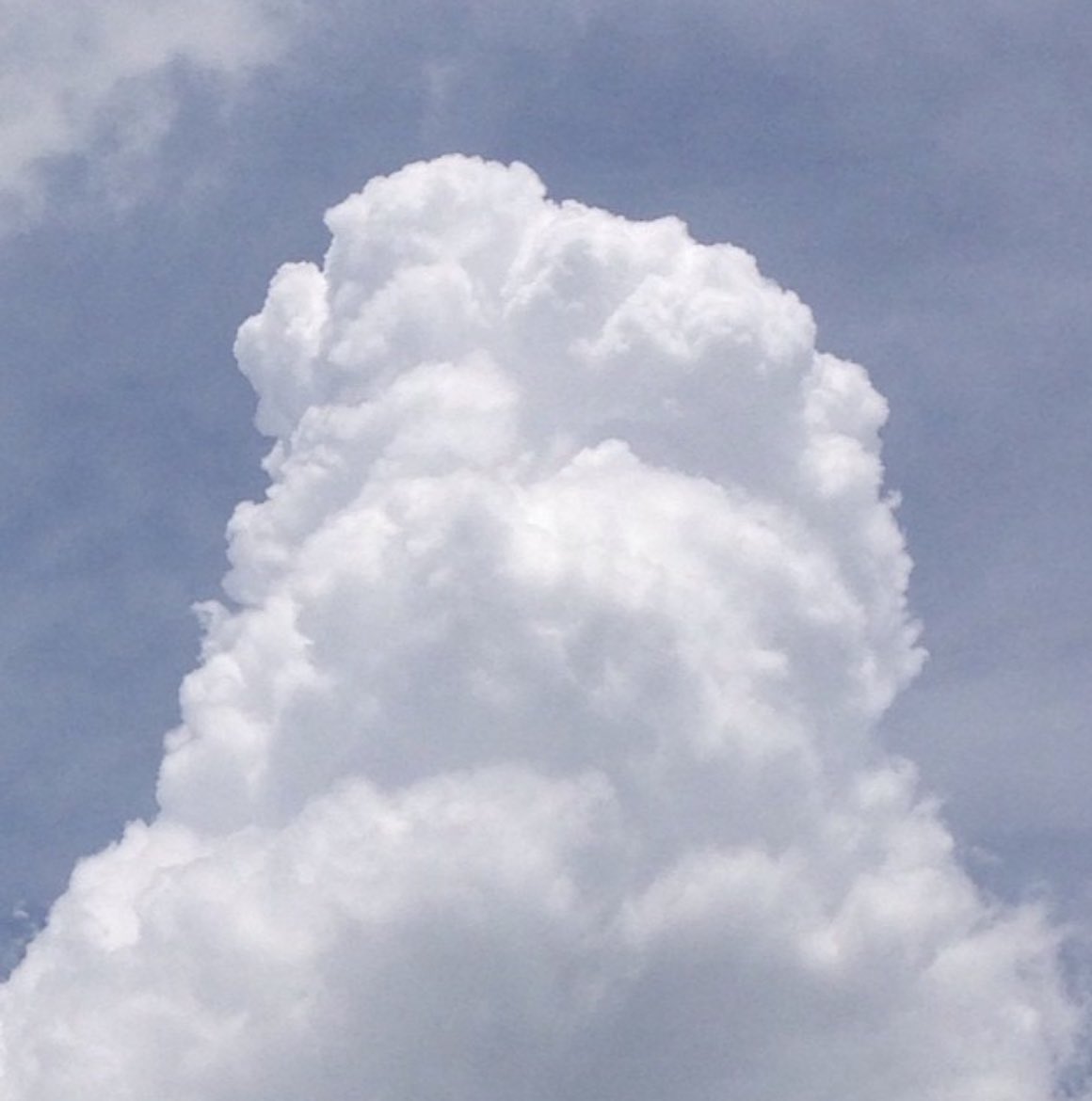 loriannes_j's tweet photo. I captured this photo of a Cumulus Cloud a while back, I was impressed at how very tall it was!
And actually, I have not seen one quite like it #CumulusCloud https://t.co/kMRws5sk9K