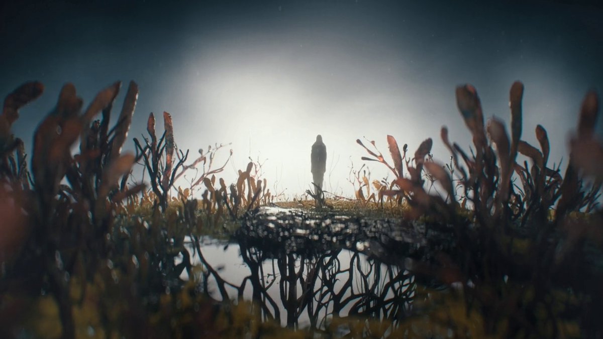 The Path. A New Beginning.
#TheLastOfUs
