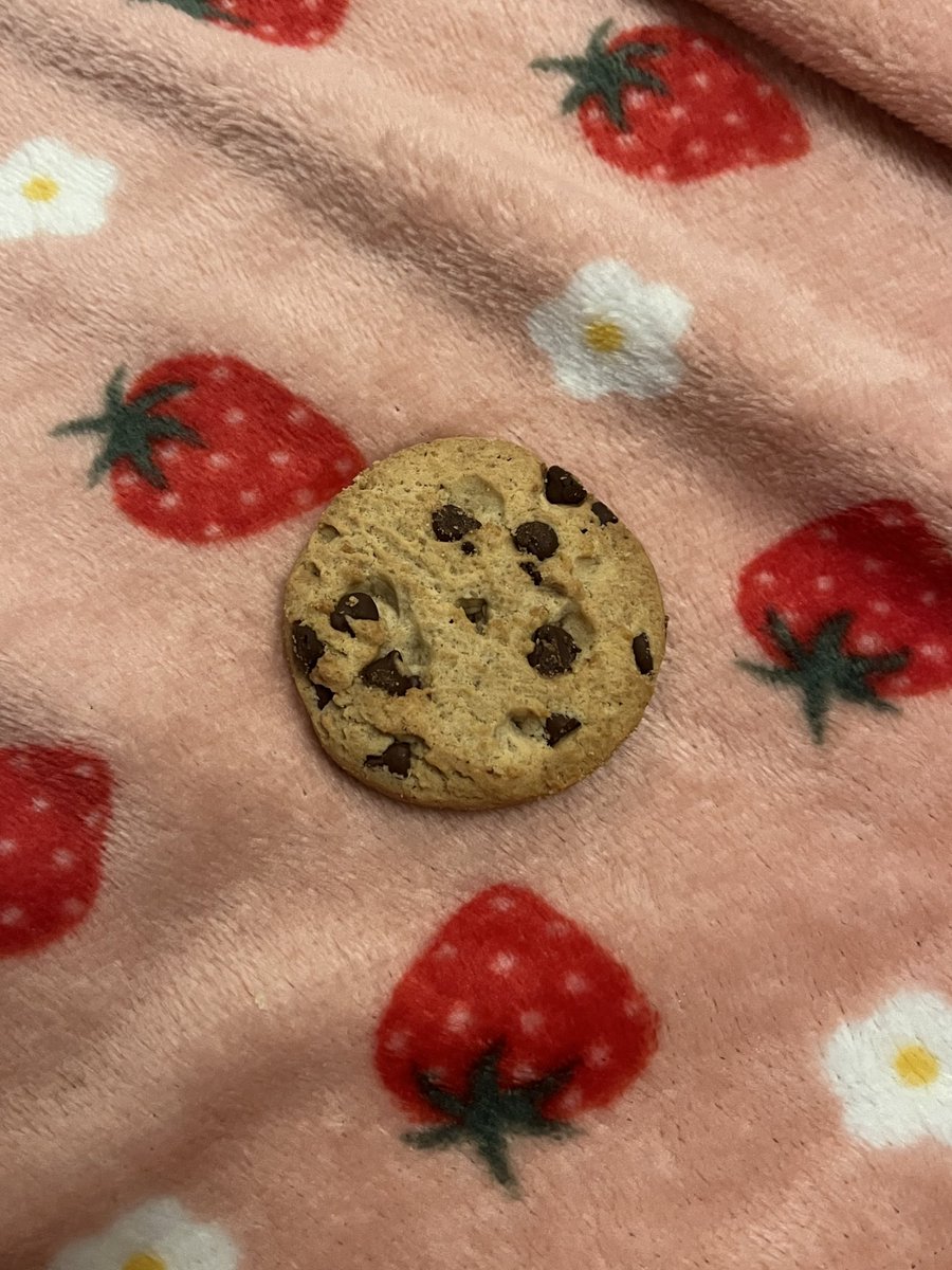 🎀🍓 tweet media