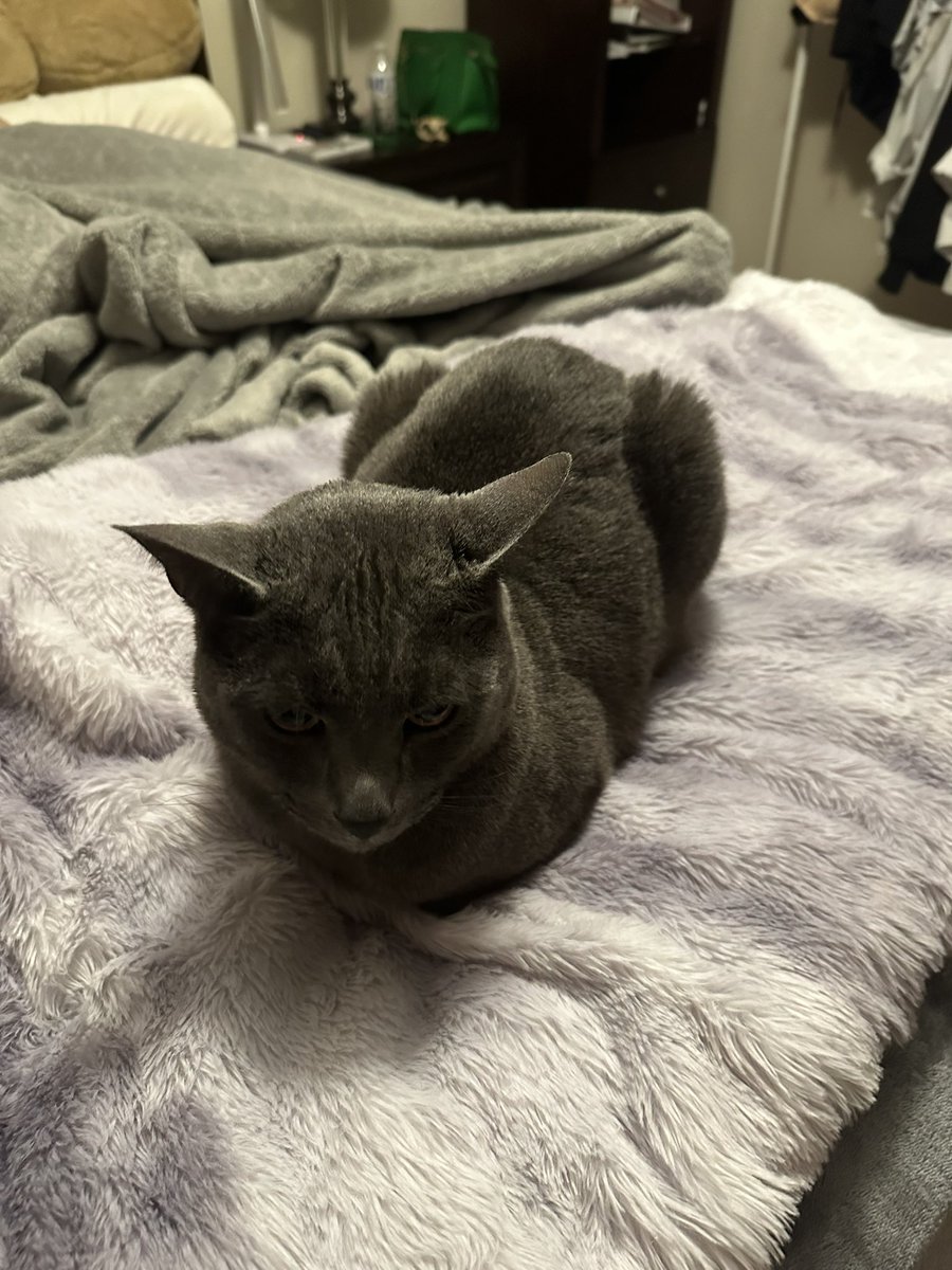 edyn ♡ tweet media