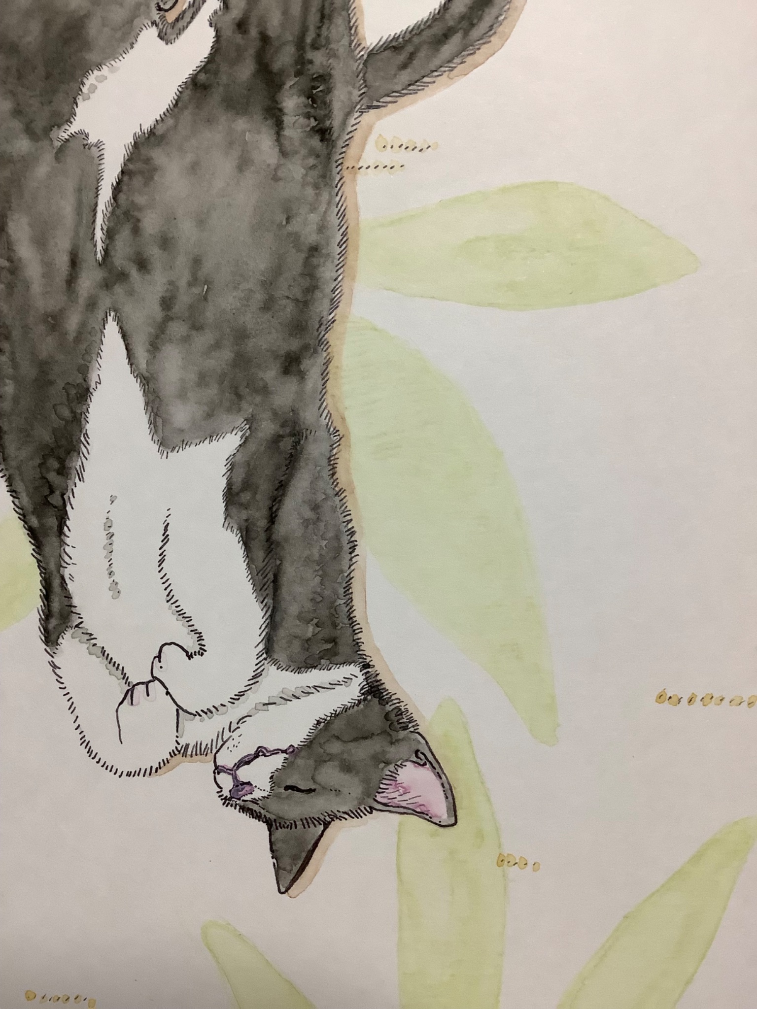 きこりの DSC04546.JPG