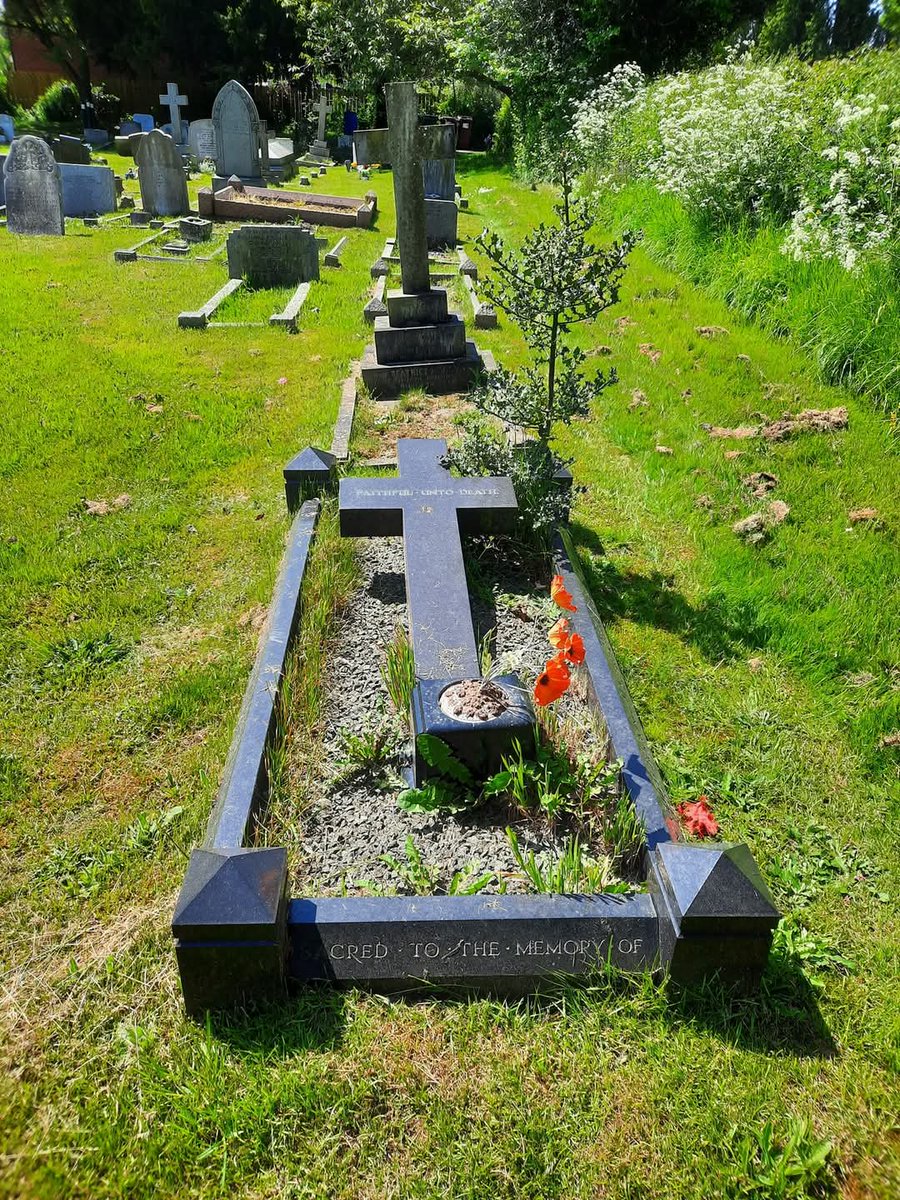 WW1 Family Inscriptions tweet media