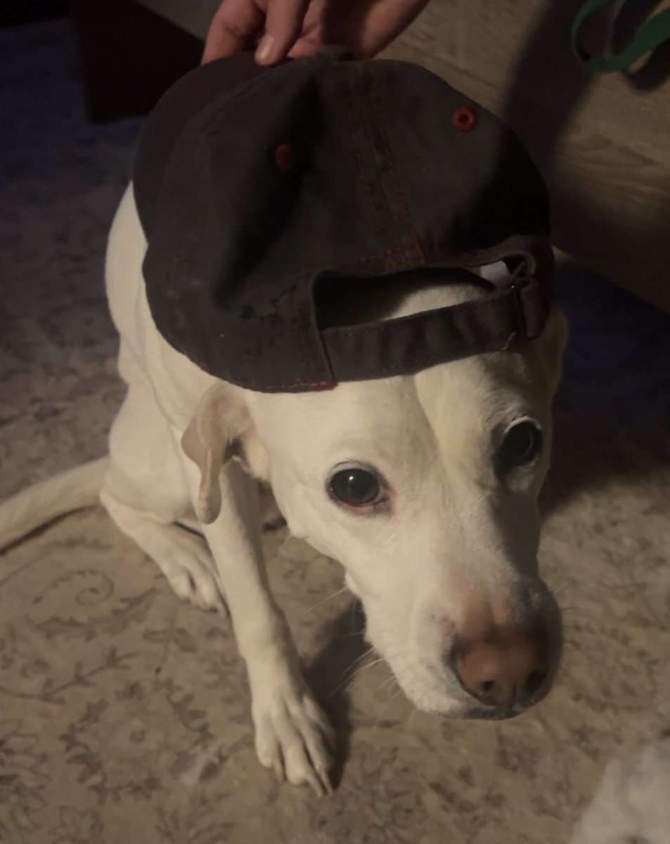 you guys melissa broke into my home