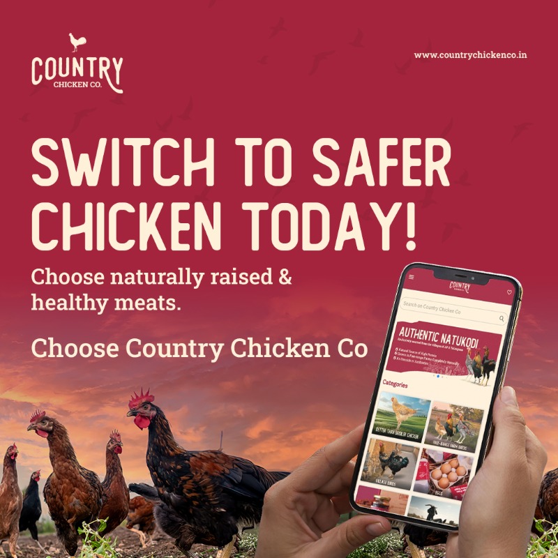 CCC_Ind's tweet photo. Savor the taste of authentic natu kodi! 🐔 Our free-range, antibiotic-free country chicken is raised naturally for premium quality. Order now for fresh, healthy meat delivered to your door! Get 100/- off, Use code: COUNTRYMEATS