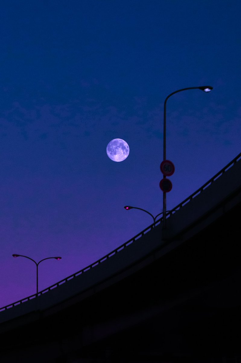 ∘˚˳°🪼∘˚˳° tweet media