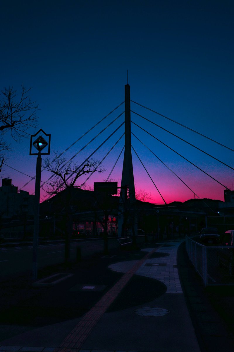 ∘˚˳°🪼∘˚˳° tweet media