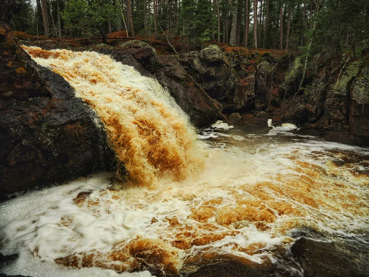 trevkeller's tweet image. A spring morning at Amnicon Falls State Park, South Range, WI. #wiwx