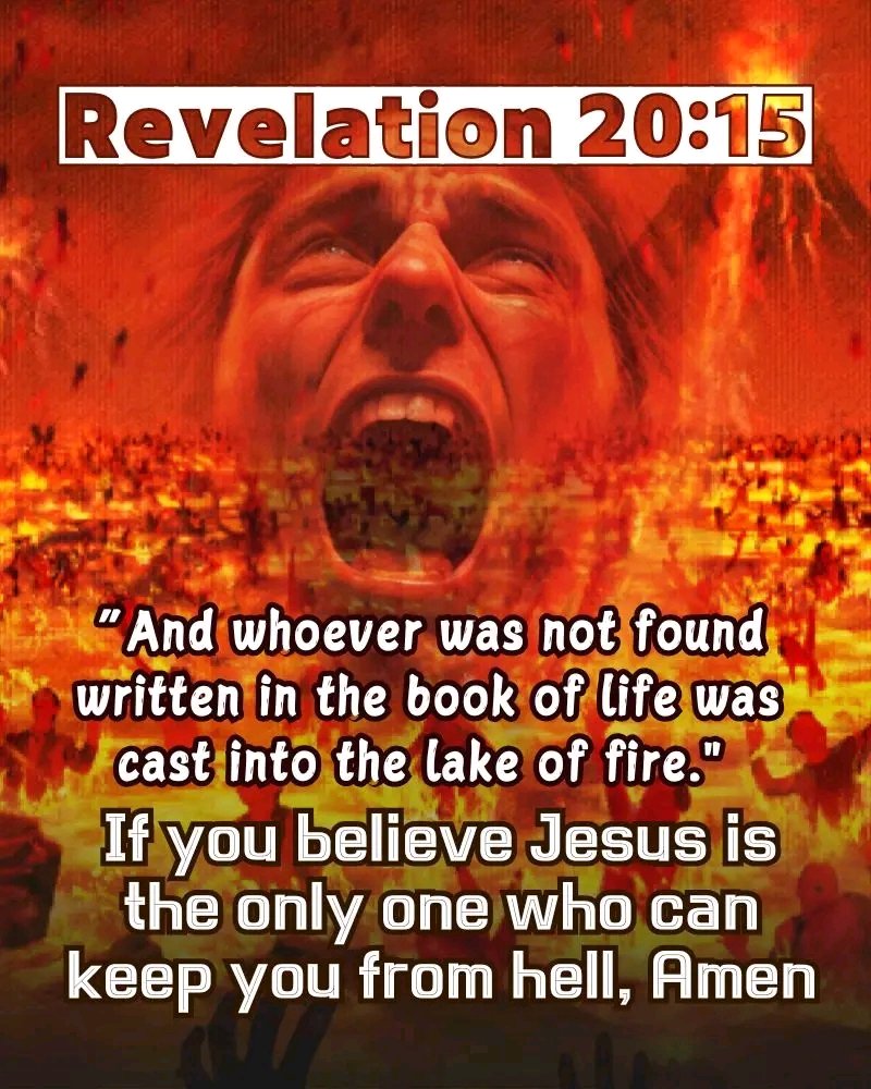 Holy Bible tweet media