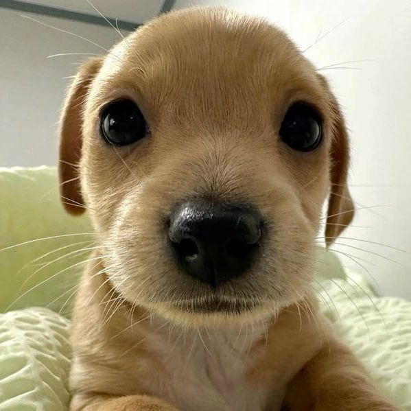 Fer lvs Yoongi ☆ | tweet media