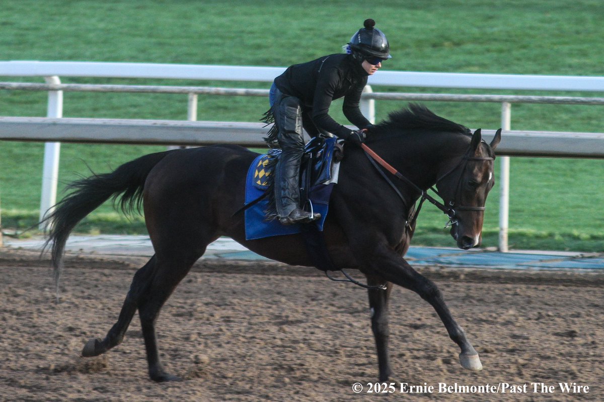 Nevada Beach galloping this morning.