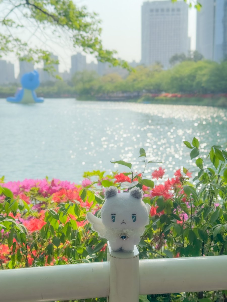 덕질중입니다💙🖤