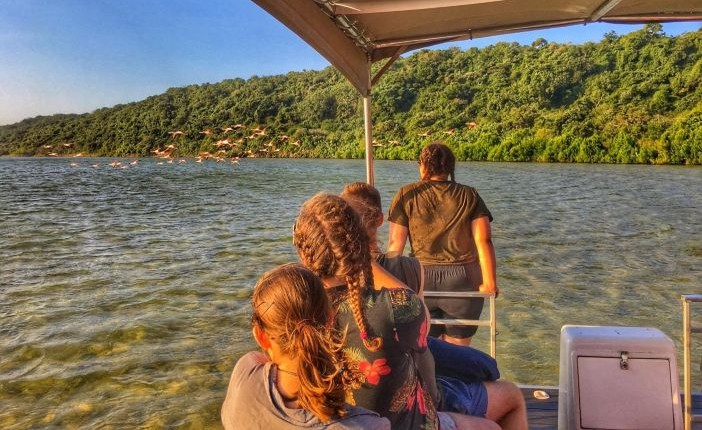 SafariKZNMark's tweet image. We are thrilled to be launching our school & group tours in partnership with African Insight Academy & Treverton The adventure starts here...safarikzn.com/school-and-gro… #grouptravel #schooltrip #kwazulunatal #southafrica #travel