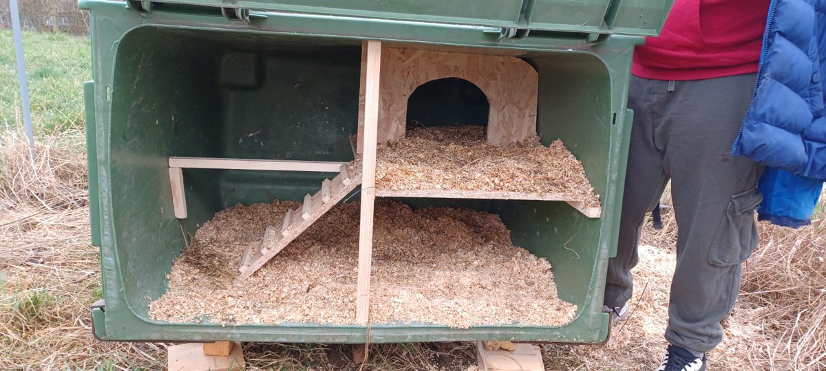 C’est le retour des poules au collège du Thelle🐔🐓🐔🐓
Un grand merci à Mme Lamoine ainsi qu’aux élèves d’ULIS et SEGPA pour leur investissement👏👏